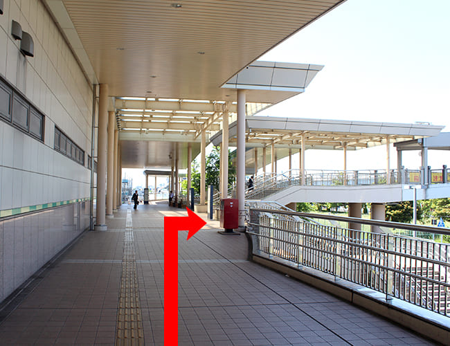 ディズニーランドから舞浜駅まで①