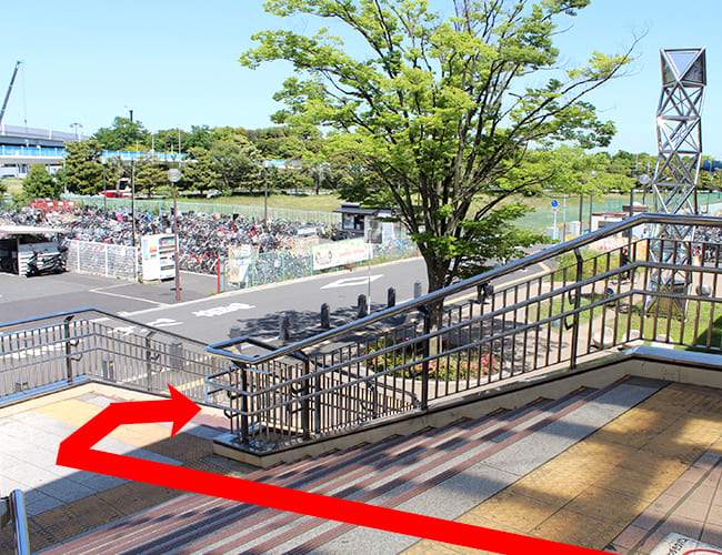 ディズニーランドから舞浜駅まで①